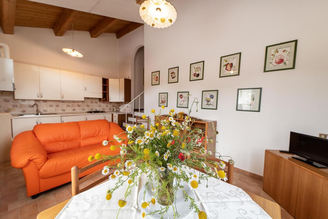 Agriturismo Podere Coldifico Sassoferrato Exterior photo